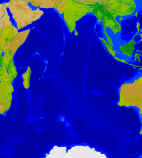 Indian Ocean Vegetation 1788x2000